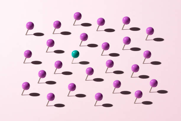 Expertise technique et entrepreneuriale